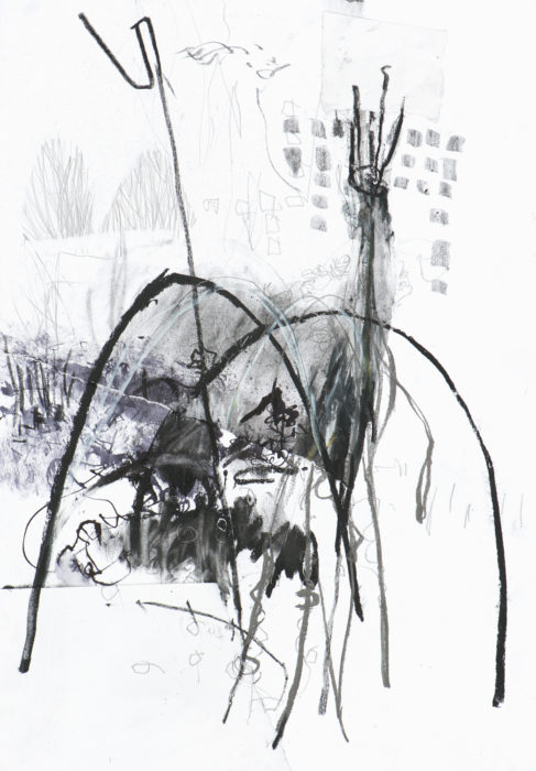 black and white expressive drawing of allotments